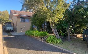 Lilys Place